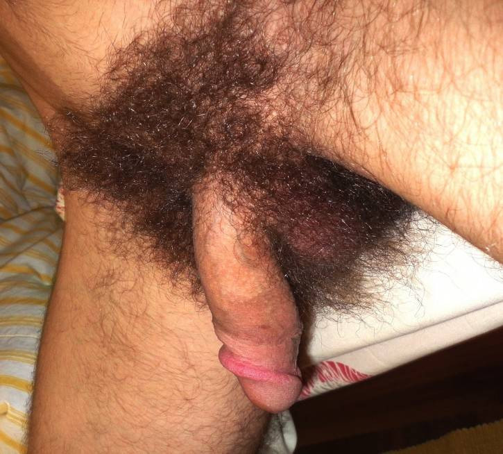 hairy gay men suck cock