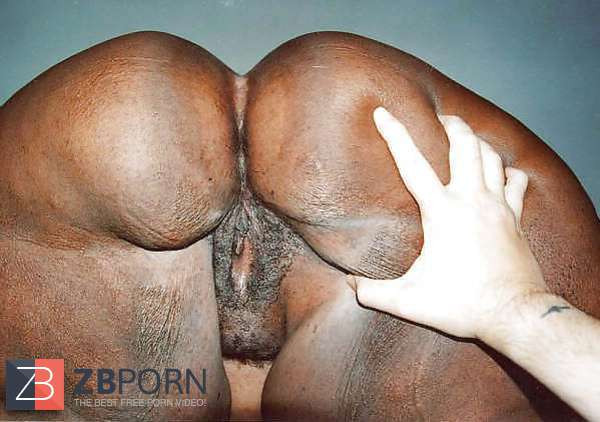 bbw fucking huge cock