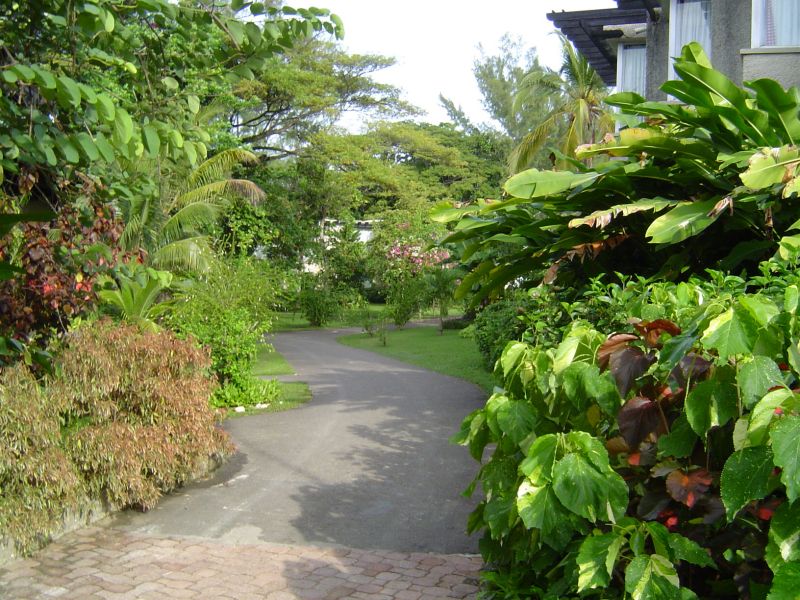 puerto rico