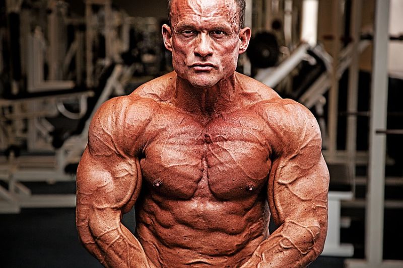 vascularity bodybuilding