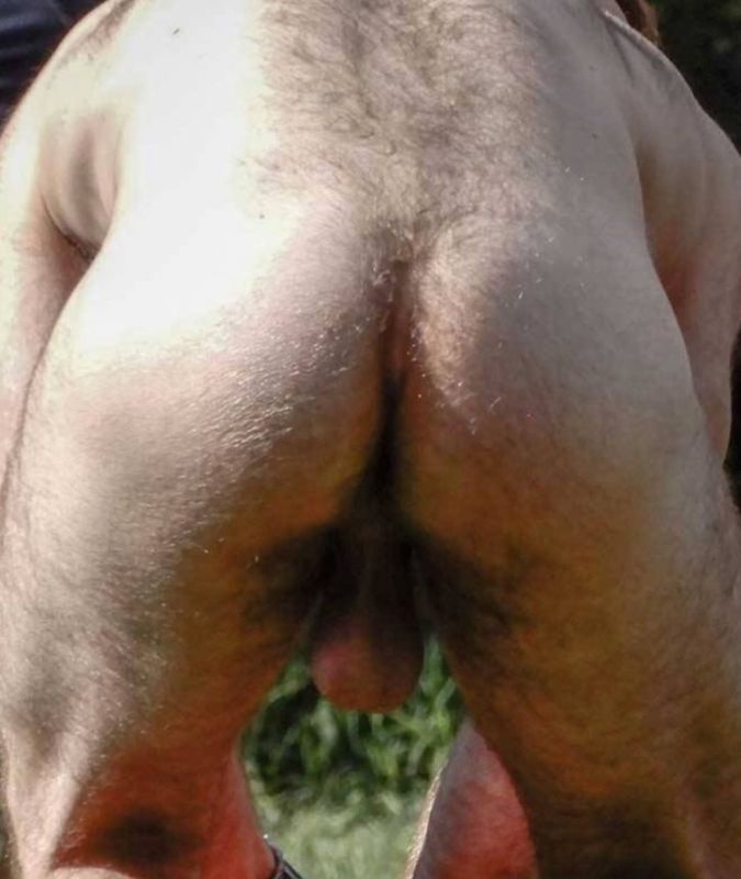 vintage gay hairy muscle men