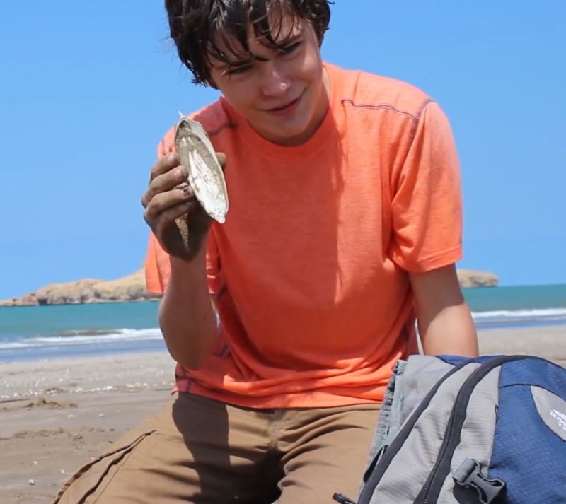 model alec in wilderland