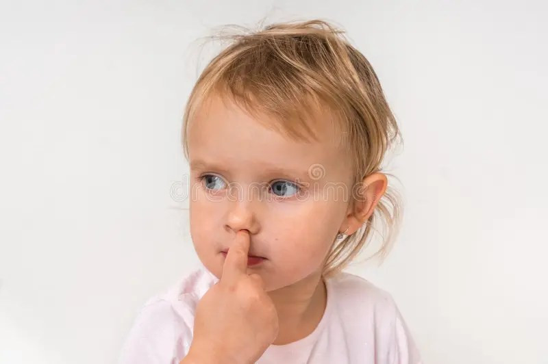 sugar png