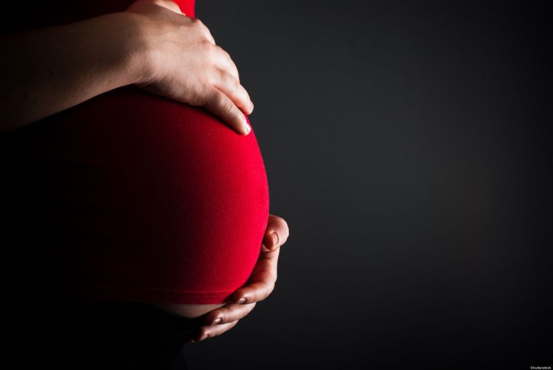beautiful stylish pregnant women