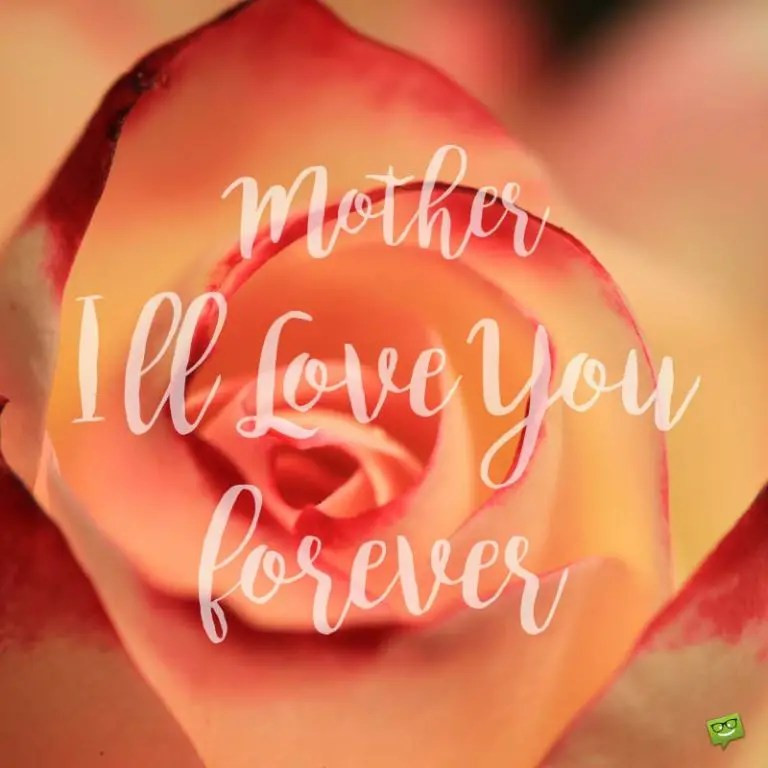 i love you like quotes