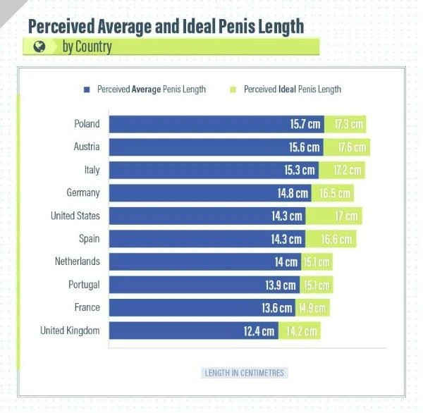average erect penis cumming