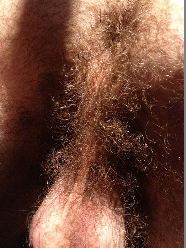 hairy men crotch bulge