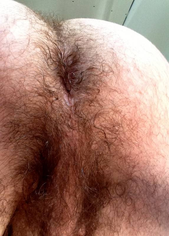 hairy balls gay porn