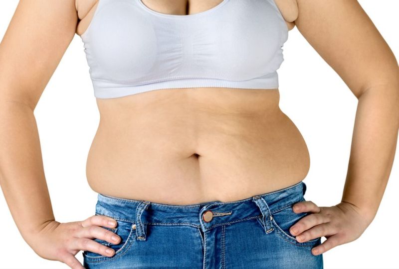 lower stomach belly fat