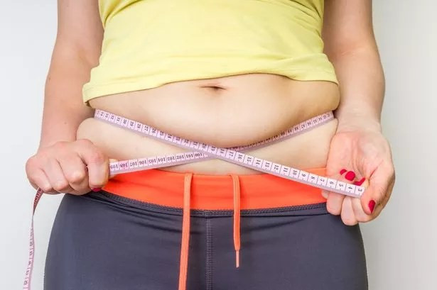 bottom belly fat