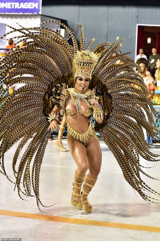 samba city