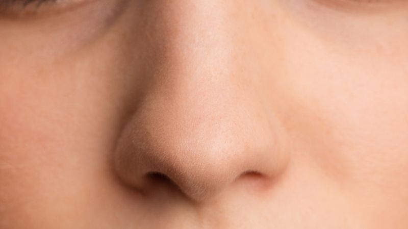 photo of two adults nose to nose