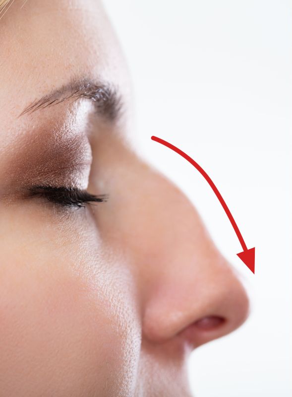 anatomy nose nasal cavity