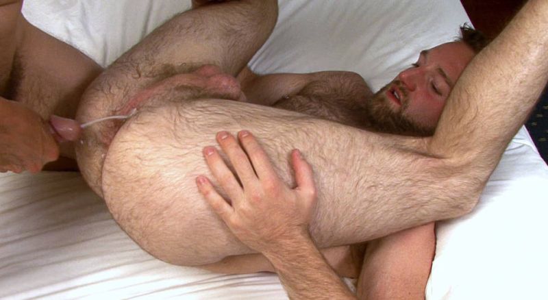 gay gif
