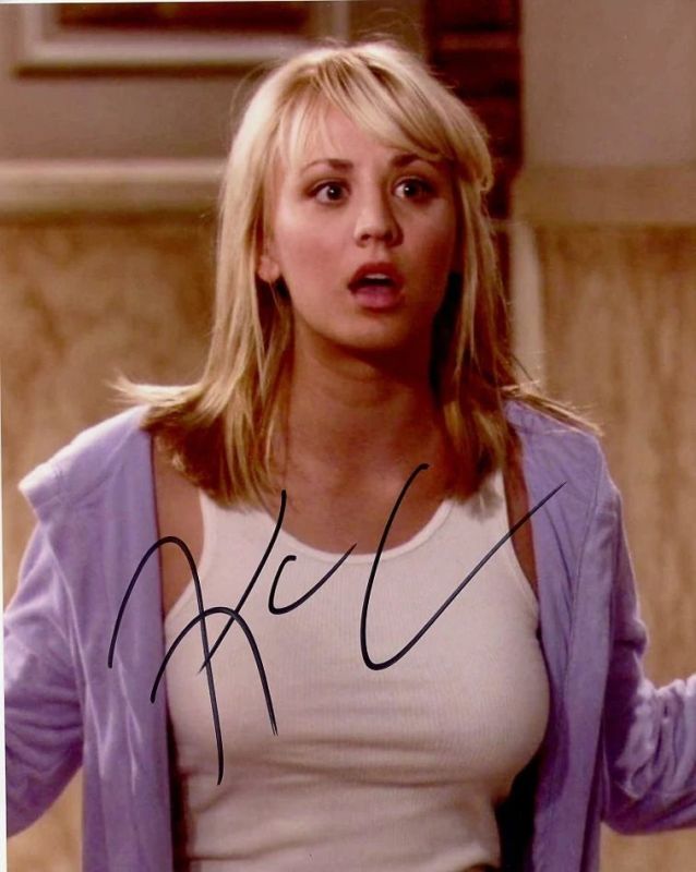 fat penny big bang theory