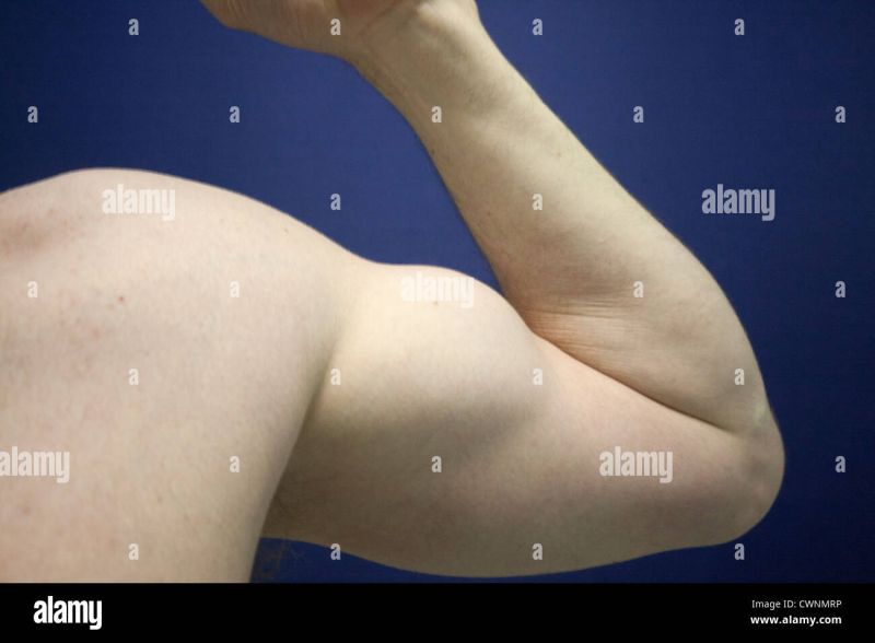animated muscle arm