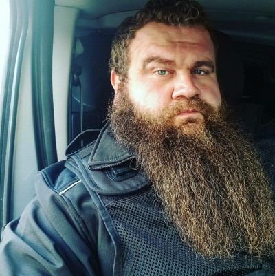 fat cute bear
