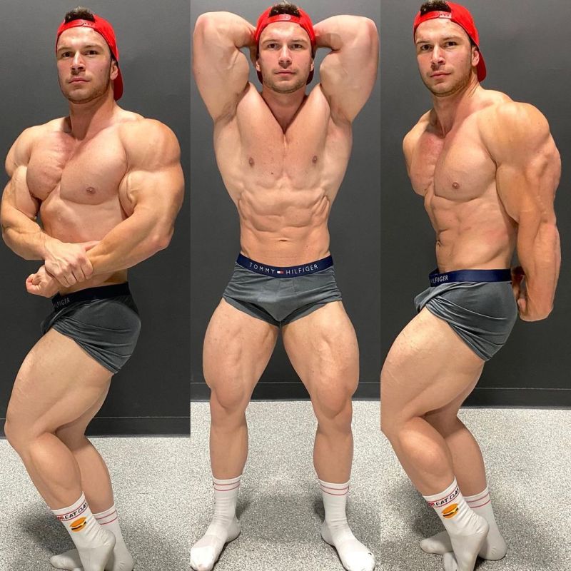 davidl falk