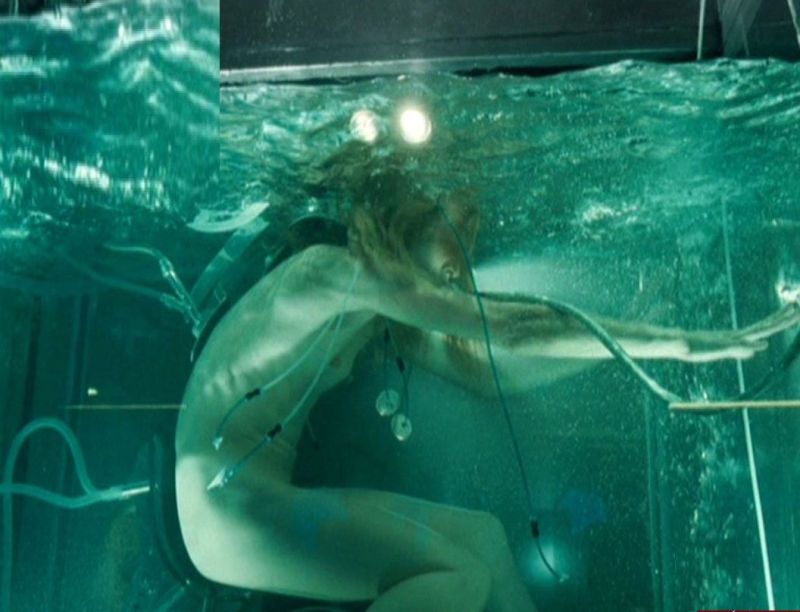 resident evil milla jovovich bush