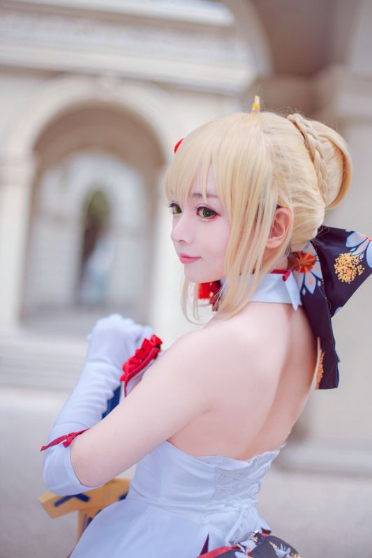 fate/zero
