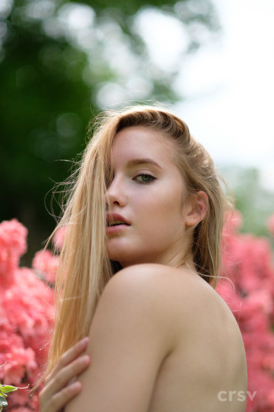 photography blogs